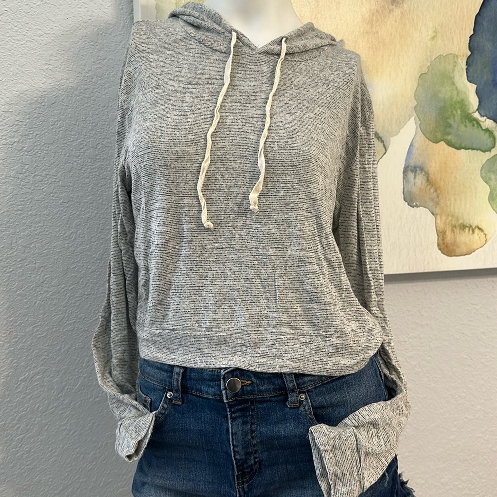 Caution to the Wind Hoodie Gray  cropped style